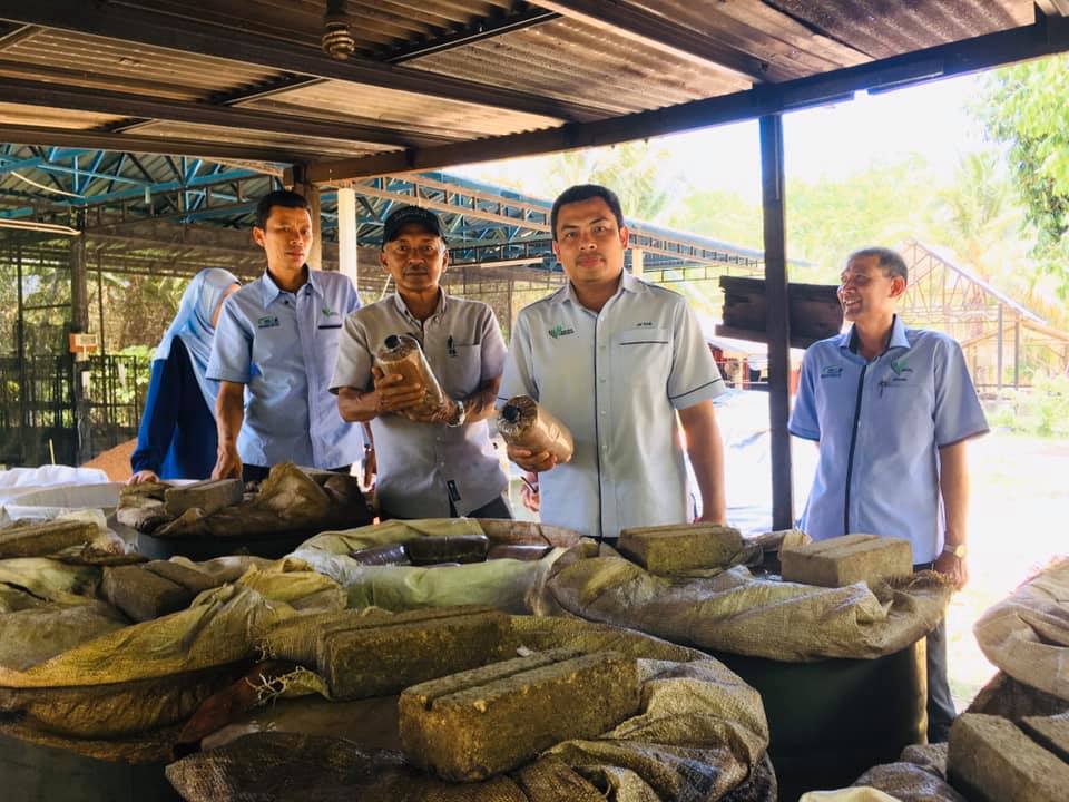 Lawatan pengarah pertanian negeri kedah dan wakil bahagian ...