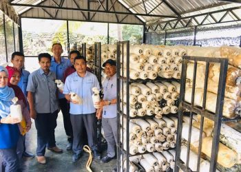 Lawatan Pengarah Pertanian Negeri Kedah Ke Projek Cendawan Kampung Perupok Usahawan (En.Abdul Rahim Bin Sulaiman) Pada 22 Februari 2020