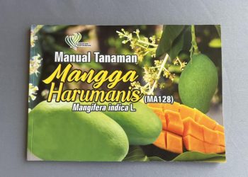 Kursus Teknologi Tanaman Mangga Harumanis