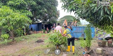 𝐆𝐎𝐓𝐎𝐍𝐆 𝐑𝐎𝐘𝐎𝐍𝐆 𝐏𝐔𝐒𝐀𝐓 𝐋𝐀𝐓𝐈𝐇𝐀𝐍 𝐏𝐄𝐑𝐓𝐀𝐍𝐈𝐀𝐍 𝐓𝐄𝐋𝐎𝐊 𝐂𝐇𝐄𝐍𝐆𝐀𝐈 (PLP)