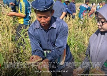 BENGKEL PENGURUSAN TUAIAN DAN LEPAS TUAI PADI HUMA